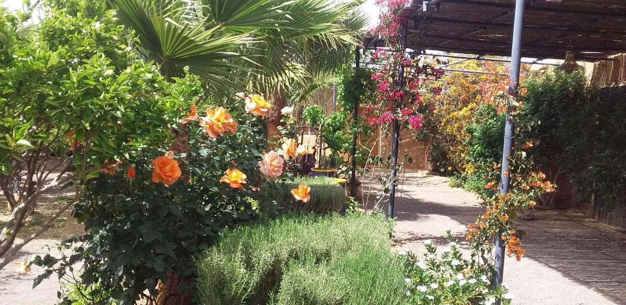 Auberge Bassou Nkob Bagian luar foto