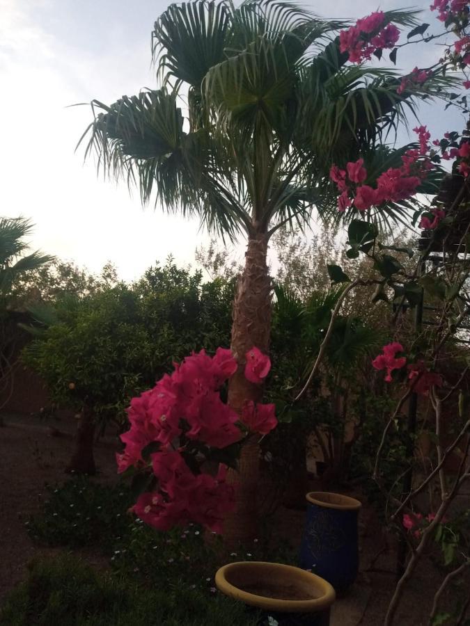Auberge Bassou Nkob Bagian luar foto